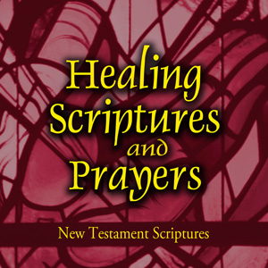Volume 2: New Testament Scriptures
